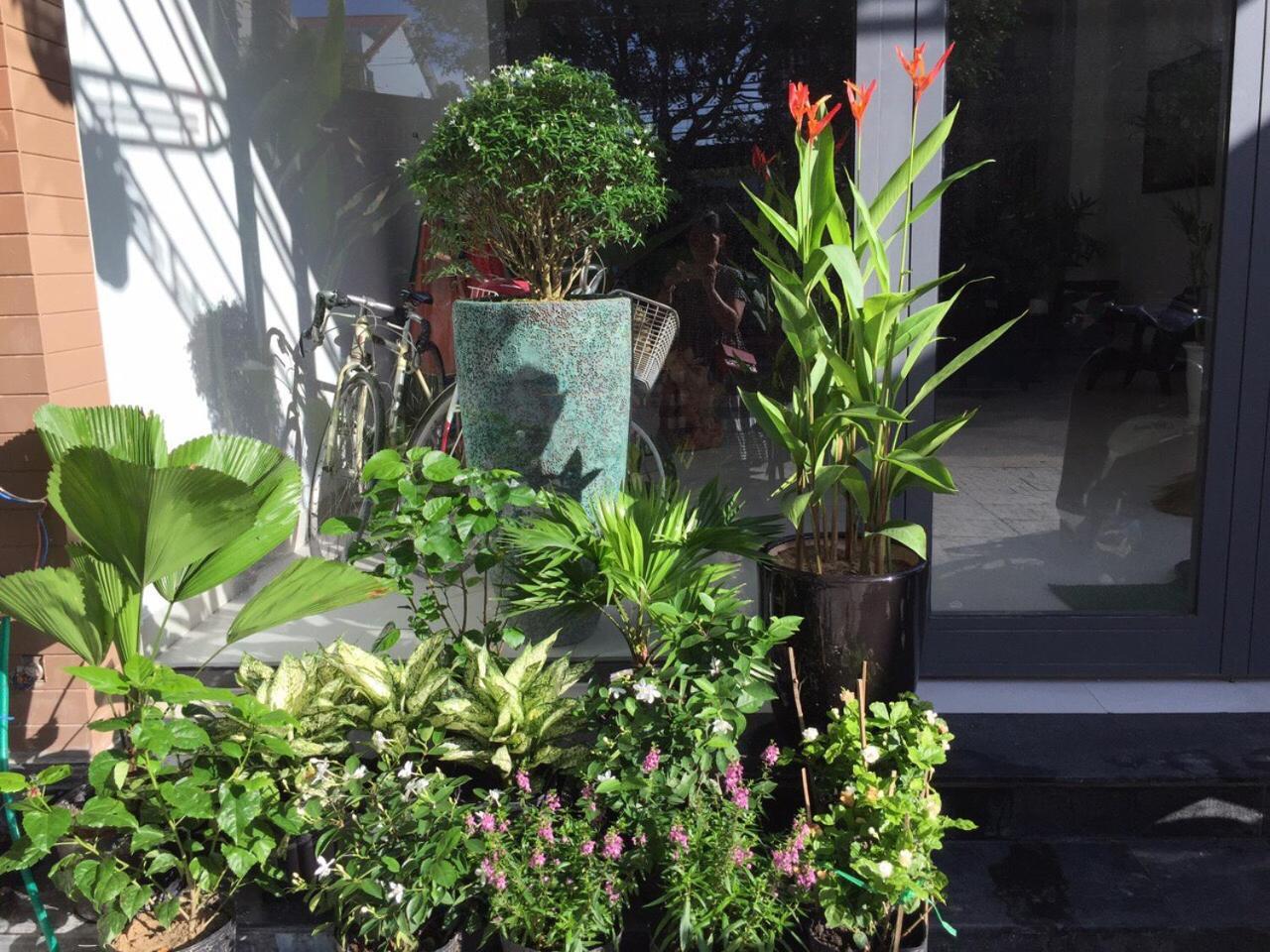 La An Homestay Χόι Αν Εξωτερικό φωτογραφία