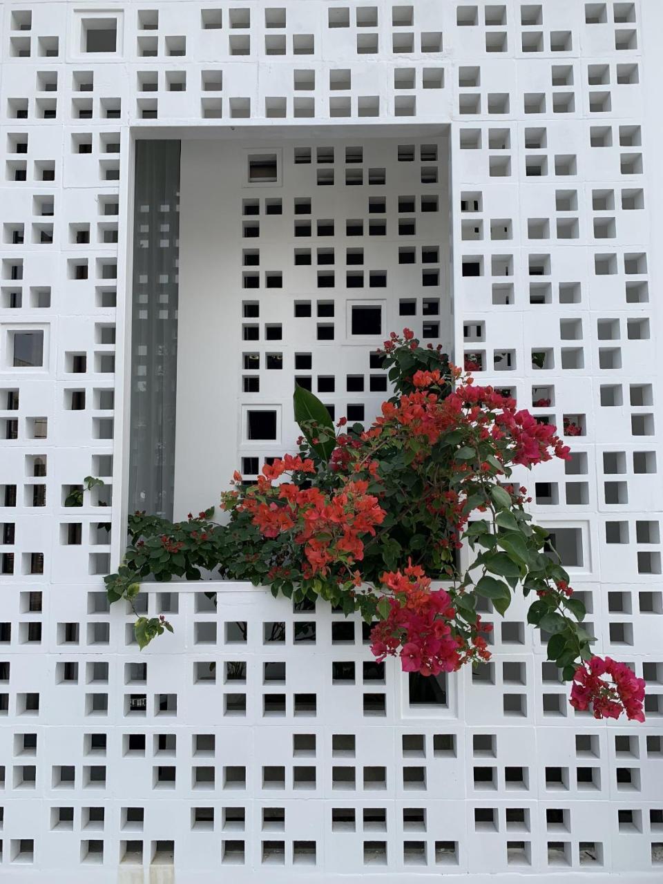 La An Homestay Χόι Αν Εξωτερικό φωτογραφία